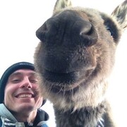  Warszawa,   , 35 ,   ,   