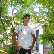  Novy,   , 25 ,   ,   