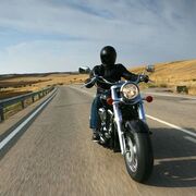 ���������� �����������, ���� ������� �����������, 39 ���, ������������ ��� ������, ���������