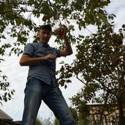 ���������� ������, ���� ������� ����, 56 ���, ������������ ��� ������, ����� � ���������, c�������� ���������