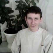  -,   , 41 ,  