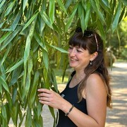  --,   , 41 ,   ,   