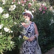  ,   , 67 ,   