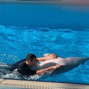 ���������� �����������, ���� ������� ������, 31 ���, ������������ ��� ������, ����� � ���������, c�������� ���������, ���������