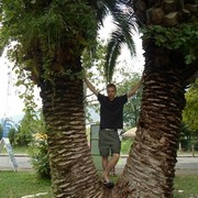 ���������� ������, ���� ������� �����, 41 ���, ������������ ��� ������, ����� � ���������, c�������� ���������