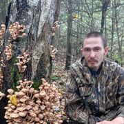 ���������� ���������, ���� ������� �������, 36 ���, ������������ ��� c�������� ���������, ���������