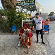 ���������� ������, ���� ������� �����, 38 ���, ������������ ��� ������, ����� � ���������, c�������� ���������, ���������