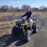 ���������� ���������, ���� ������� ��������, 37 ���, ������������ ��� ������, ����� � ���������, c�������� ���������