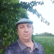   ,   , 51 ,   c , 