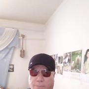  ,   , 51 ,  