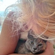  ,   , 41 ,   ,   