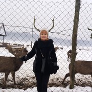  ,   , 56 ,  