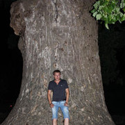  ,   , 44 ,   ,   , c 