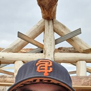 ���������� ������, ���� ������� ������, 36 ���, ������������ ��� ������