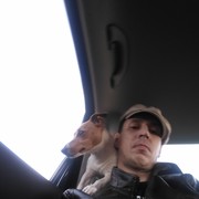 ���������� ������������, ���� ������� �����, 38 ���, ������������ ��� ������, ����� � ���������, c�������� ���������