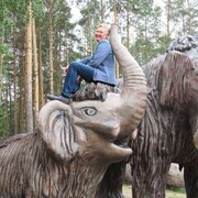 ���������� �������, ���� ������� ������, 48 ���, ������������ ��� ����� � ���������, c�������� ���������