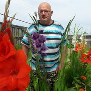 ,   , 61 ,  