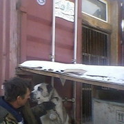 ���������� ������, ���� ������� ����, 58 ���, ������������ ��� ����� � ���������, c�������� ���������