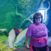 ���������� ������-��-����, ���� ������� ������, 60 ���, ������������ ��� ������, ����� � ���������