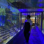 ���������� ���������, ���� ����� �������, 23 ����, ������������ ��� ����� � ���������, c�������� ���������