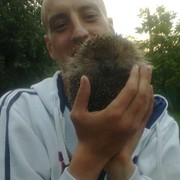 ���������� ���������, ���� ������� �������, 38 ���, ������������ ��� ������, ����� � ���������, c�������� ���������