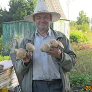 ���������� �����������, ���� ������� ������, 71 ���, ������������ ��� c�������� ���������