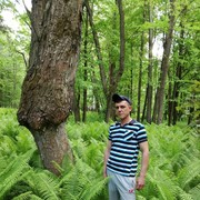  ,   , 49 ,  