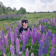 ���������� ������, ���� ������� ������, 41 ���, ������������ ��� c�������� ���������