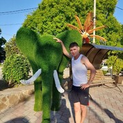 ���������� �����������, ���� ������� ����� ���� �, 38 ���, ������������ ��� ������, ����� � ���������, c�������� ���������