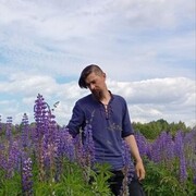  -,   , 37 ,   ,   