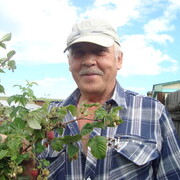 ���������� �����������, ���� ������� ��������, 71 ���, ������������ ��� c�������� ���������