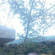 ���������� �����������, ���� ������� ���������, 53 ����, ������������ ��� ������, ����� � ���������, c�������� ���������