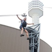 ���������� ������ �����, ������� �������, 38