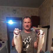 �������� ����