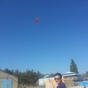 ���������� ��������, ���� ������� ���������, 38 ���, ������������ 