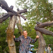   ,   Vadon, 46 ,  