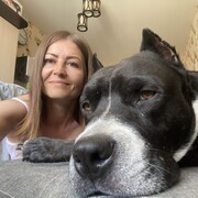 ���������� ���������, ���� ������� �����, 44 ����, ������������ ��� c�������� ���������