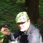   ,   , 58 ,   