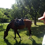 ���������� ������, ���� ������� ������, 41 ���, ������������ ��� ����� � ���������, c�������� ���������