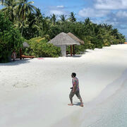 ���������� ������, ���� ������� Nick, 37 ���, ������������ ��� ������, ����� � ���������