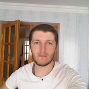  ,   Gepard, 31 ,   , c 