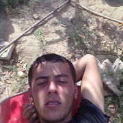  ,   Telman, 33 ,   ,   , c 