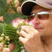   ,   , 55 ,   