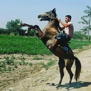 ���������� ��������, ���� ������� �����, 30 ���, ������������ ��� ������, ����� � ���������, c�������� ���������