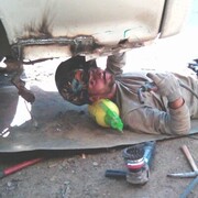 ���������� ���������, ���� ������� �������, 38 ���, ������������ ��� ������, ����� � ���������, c�������� ���������