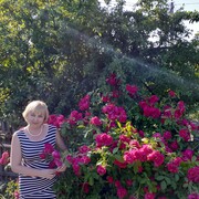  ,   , 59 ,   ,   