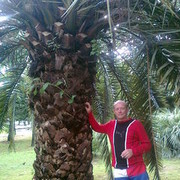 ���������� �������, ���� ������� ��������, 59 ���, ������������ ��� ������