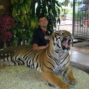 ���������� ���������, ���� ������� ���������, 50 ���, ������������ 