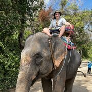 ���������� ������, ���� ����� ����, 21 ���, ������������ ��� ������, ����� � ���������, c�������� ���������