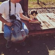 ���������� ������, ���� ������� �������, 40 ���, ������������ ��� ������, ����� � ���������